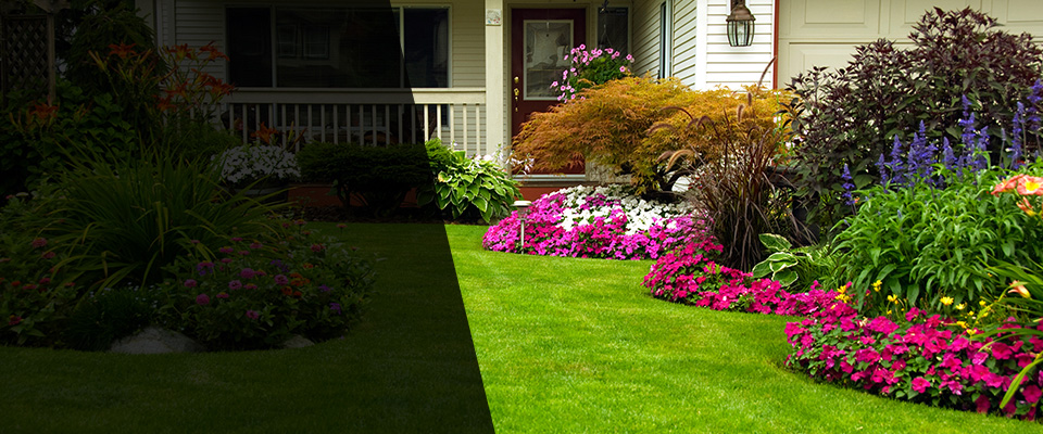 Hockessin Landscapers