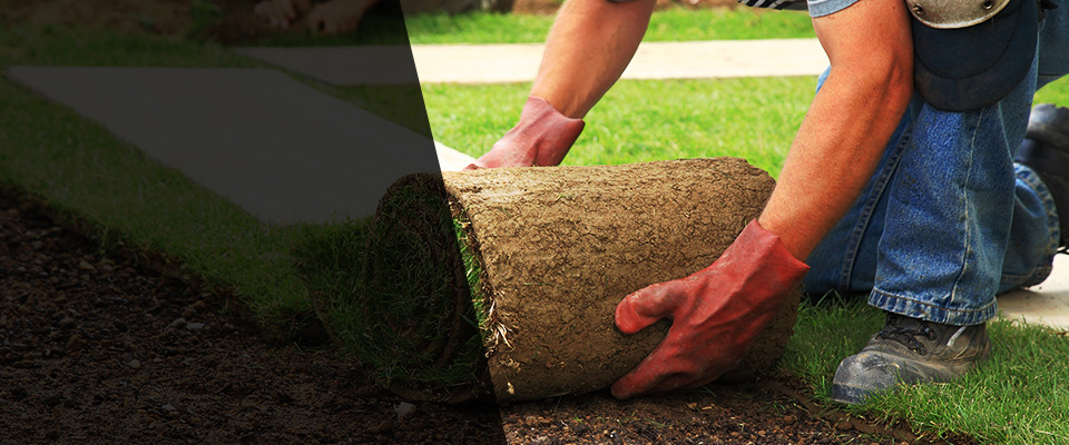 Hockessin Landscapers